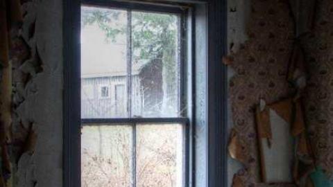 Drove right up to the house - 6c.jpg