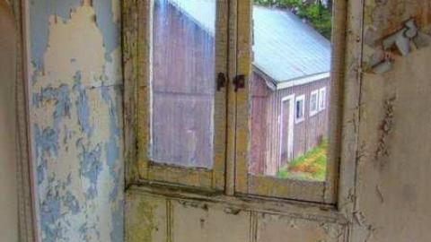 Drove right up to the house - mi7.jpg