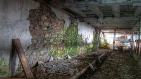 Drove right up to the house - qq8.jpg