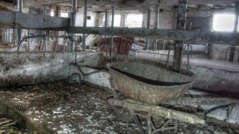 Drove right up to the house - 8a.jpg