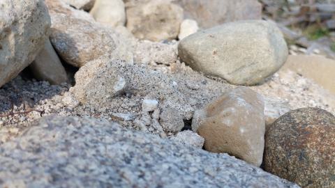 Wood and Stone - 20240518_171845.jpg