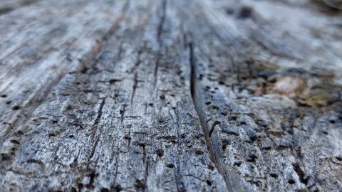 Wood and Stone - 20240518_172147.jpg