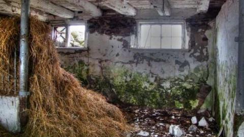 Drove right up to the house - fw9.jpg