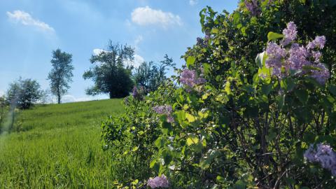 Wood and Stone - 20240518_172427.jpg