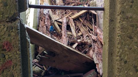 Wood and Stone - 20240518_172702.jpg