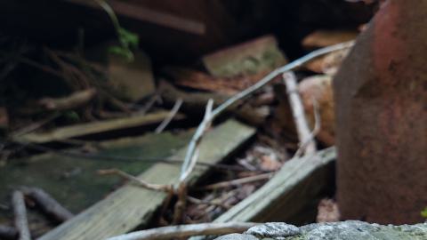 Wood and Stone - 20240518_172721.jpg