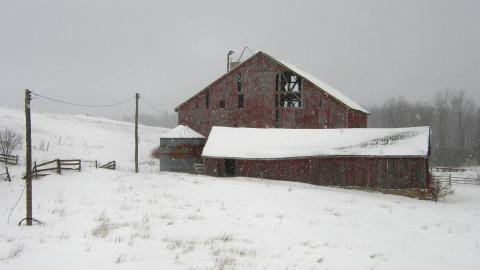 Wood and Stone - panoramio-8218201.jpg