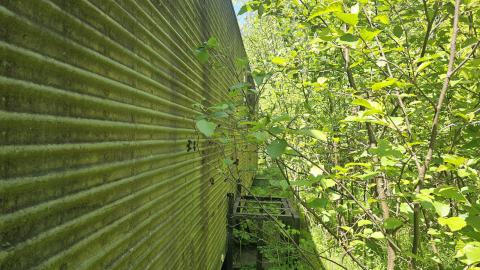 Roadside Picnic photo 2