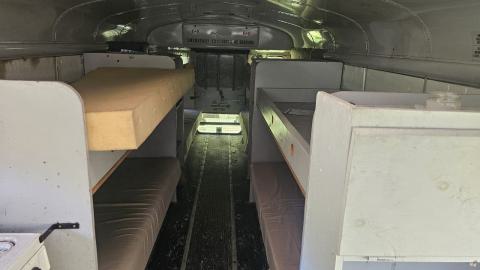 Roadside Picnic photo 5