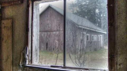 Drove right up to the house - 9c.jpg