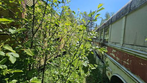 101 hunt camp - 20240612_114520(0).jpg