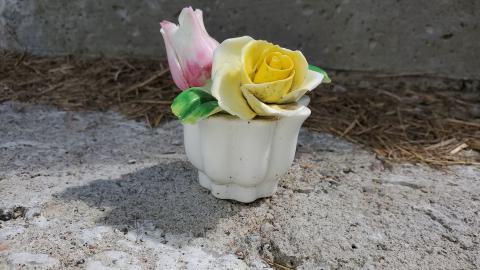 Making An "O"Face - August 2020 - 20200819_142651.jpg