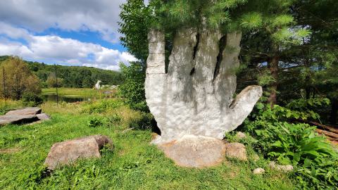 Making An "O"Face - August 2020 - 20200819_143050.jpg