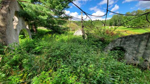 Making An "O"Face - August 2020 - 20200819_143303.jpg