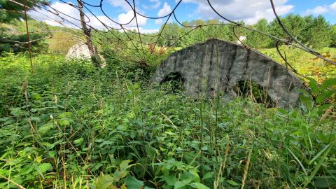 Making An "O"Face - August 2020 - 20200819_143308.jpg