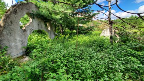 Making An "O"Face - August 2020 - 20200819_143319.jpg