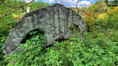 Making An "O"Face - August 2020 - 20200819_143325.jpg