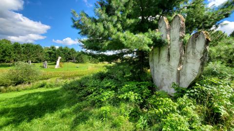 Making An "O"Face - August 2020 - 20200819_143440.jpg