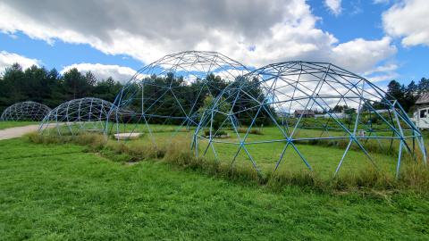 Making An "O"Face - August 2020 - 20200819_150359.jpg