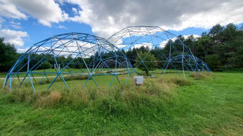 Making An "O"Face - August 2020 - 20200819_150419.jpg