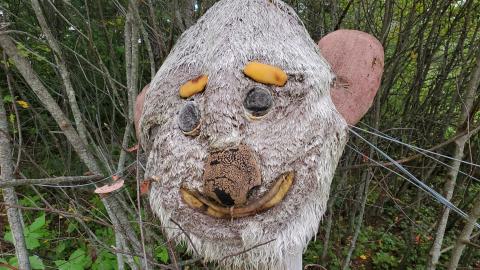 Making An "O"Face - August 2020 - 20200819_150701.jpg