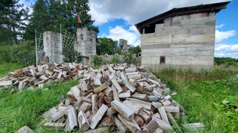 Making An "O"Face - August 2020 - 20200819_151052.jpg