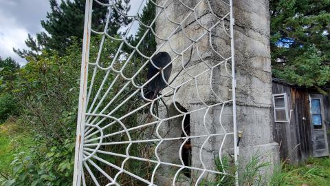 Making An "O"Face - August 2020 - 20200819_151113.jpg