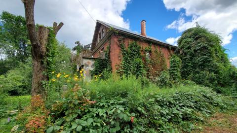 Making An "O"Face - August 2020 - 20200819_151238.jpg