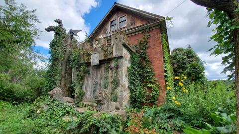 Making An "O"Face - August 2020 - 20200819_151247.jpg