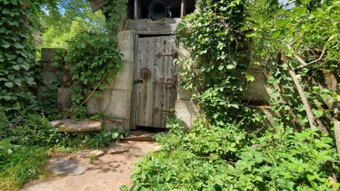 Making An "O"Face - August 2020 - 20200819_151259.jpg