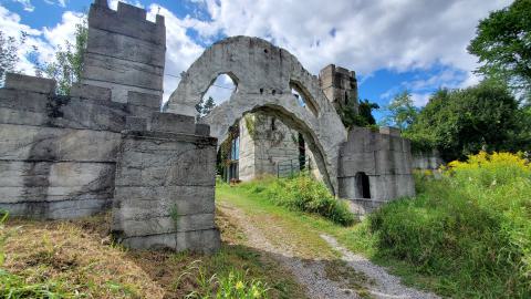 Making An "O"Face - August 2020 - 20200819_151528.jpg