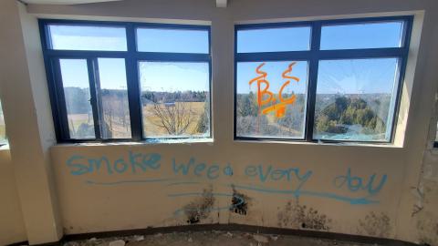 Photo from This Little Light Of Mine - March 2021