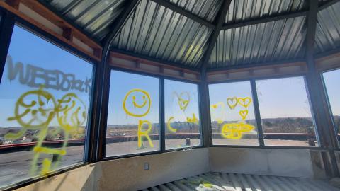 Photo from This Little Light Of Mine - March 2021