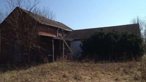 maximum - IMG_1095.jpg