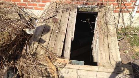 maximum - IMG_1096.jpg