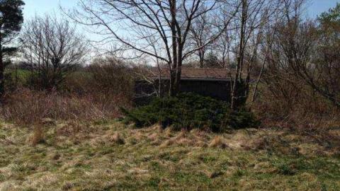 maximum - IMG_1098.jpg