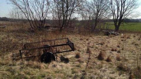 maximum - IMG_1099.jpg