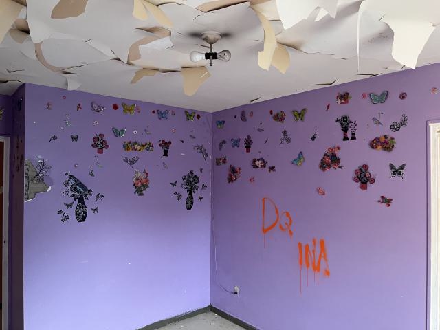 Last of the Community Housing - IMG_3322.jpg