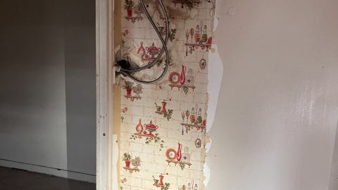 Last of the Community Housing - IMG_3280.jpg