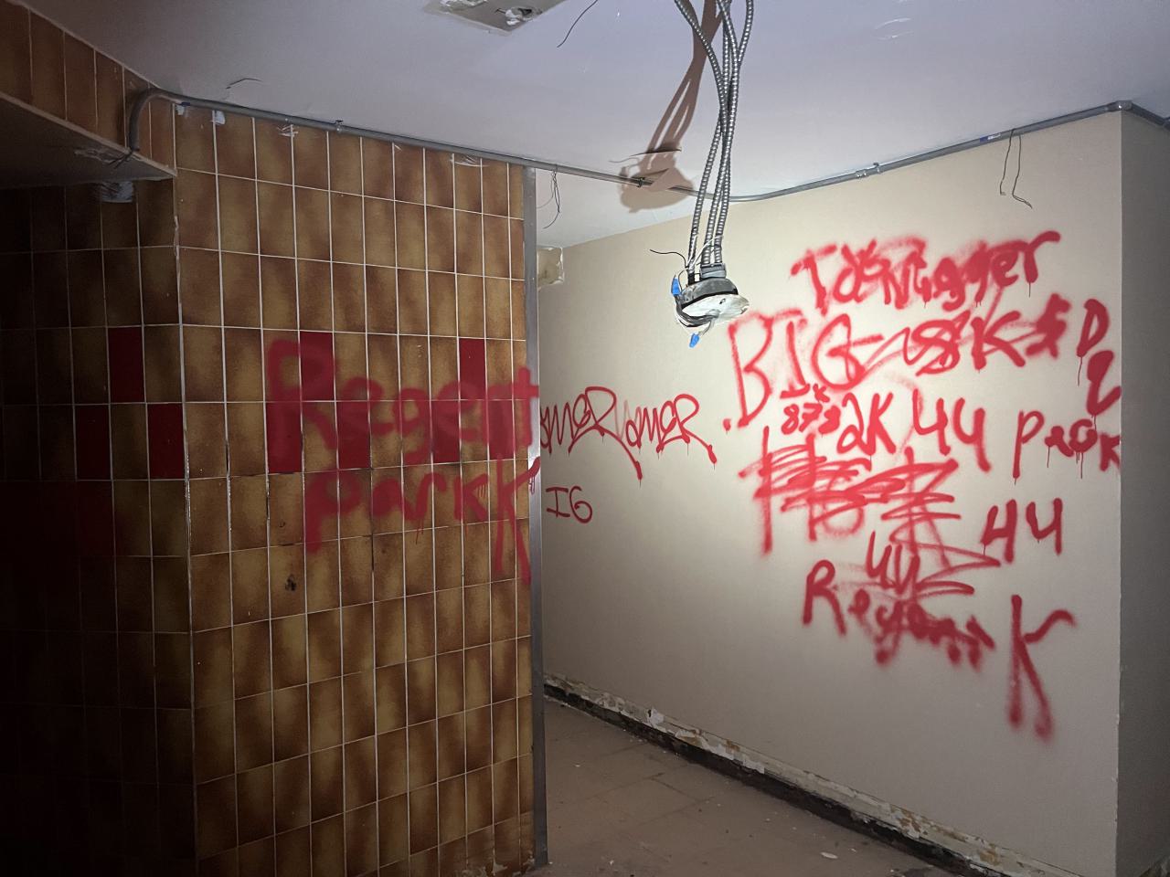 Last of the Community Housing - IMG_3271.jpg