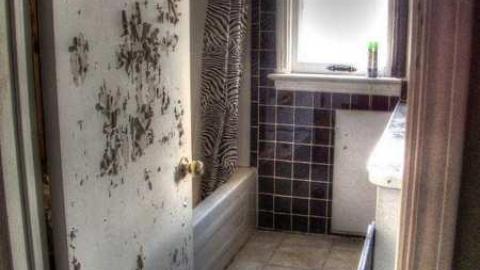 Missisauga Steel - 2c.jpg