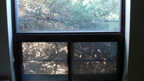 Taking Trespassing Lessons w/Finz519 - September 2012 - HPIM0724.JPG