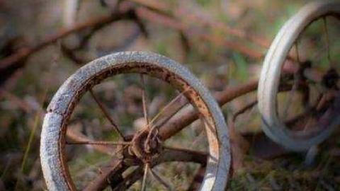 Gallery - Quinte-Conservation2.jpg