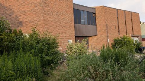 So sigma - 1000000102.jpg