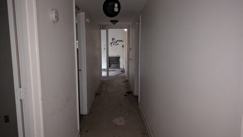 So sigma - 1000000048.jpg