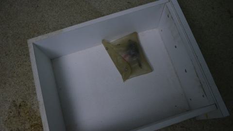 Trull Squatter's Home - DSC_0414.JPG