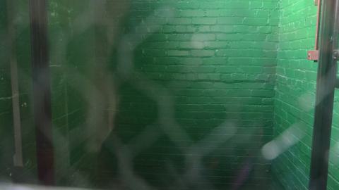 Trull Squatter's Home - DSC_0472.JPG