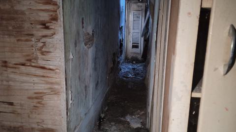 Heron-Dandie House - 20240623_183606.jpg