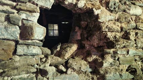 Heron-Dandie House - 20240623_183434.jpg