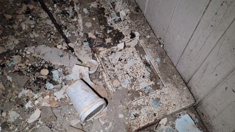 Heron-Dandie House - 20240623_183625.jpg